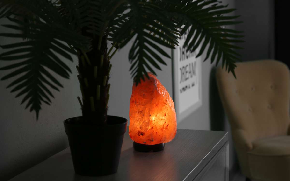 A salt lamp beside a potted plant at evening time_Can You Leave a Salt Lamp on All Night