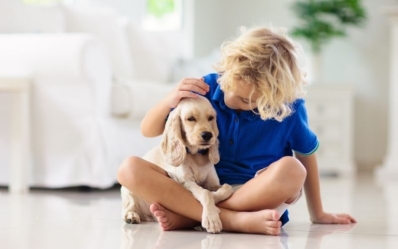 Photo of a kid and a dog sitting on the floor